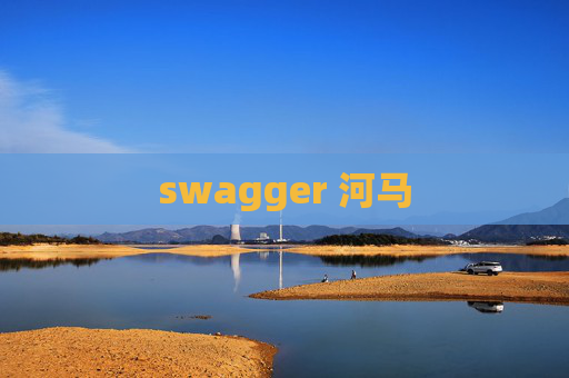 swagger 河马